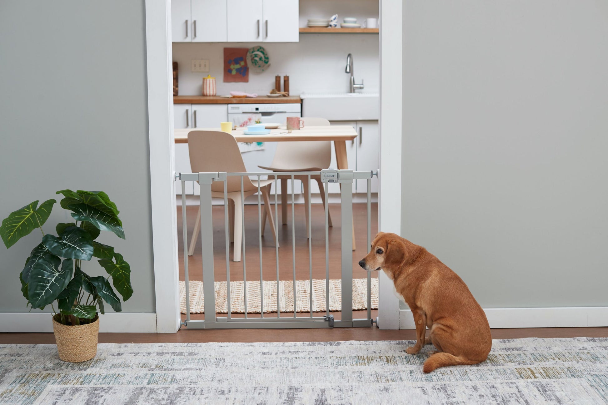 Pressure-Mounted Baby Gates for Doorways, Securetech® No-Drill Design with Integrated Door, Adjustable Width 29-38 Inches