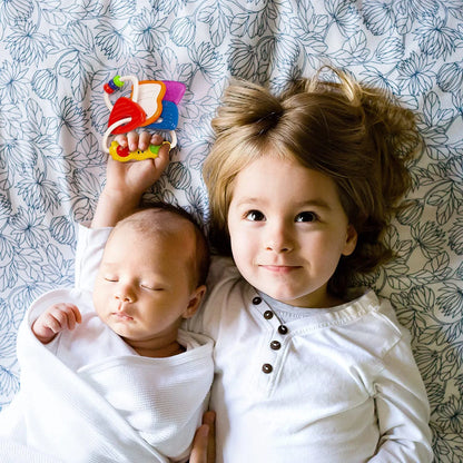 Infant Developmental Toys for 0-12 Months with Sound and Light Features - Ideal Gifts for Boys and Girls