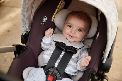 Deluxe 8-in-1 Travel System for Infants - Grow and Go Flex in Dunes Edge