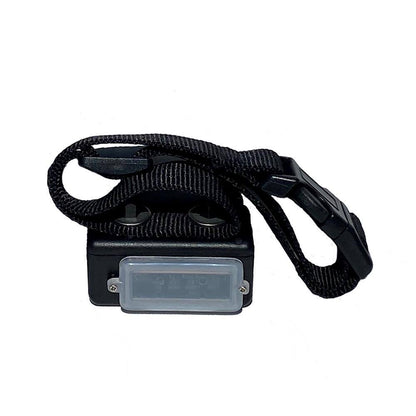 Express Train Remote Radio Dog Trainer