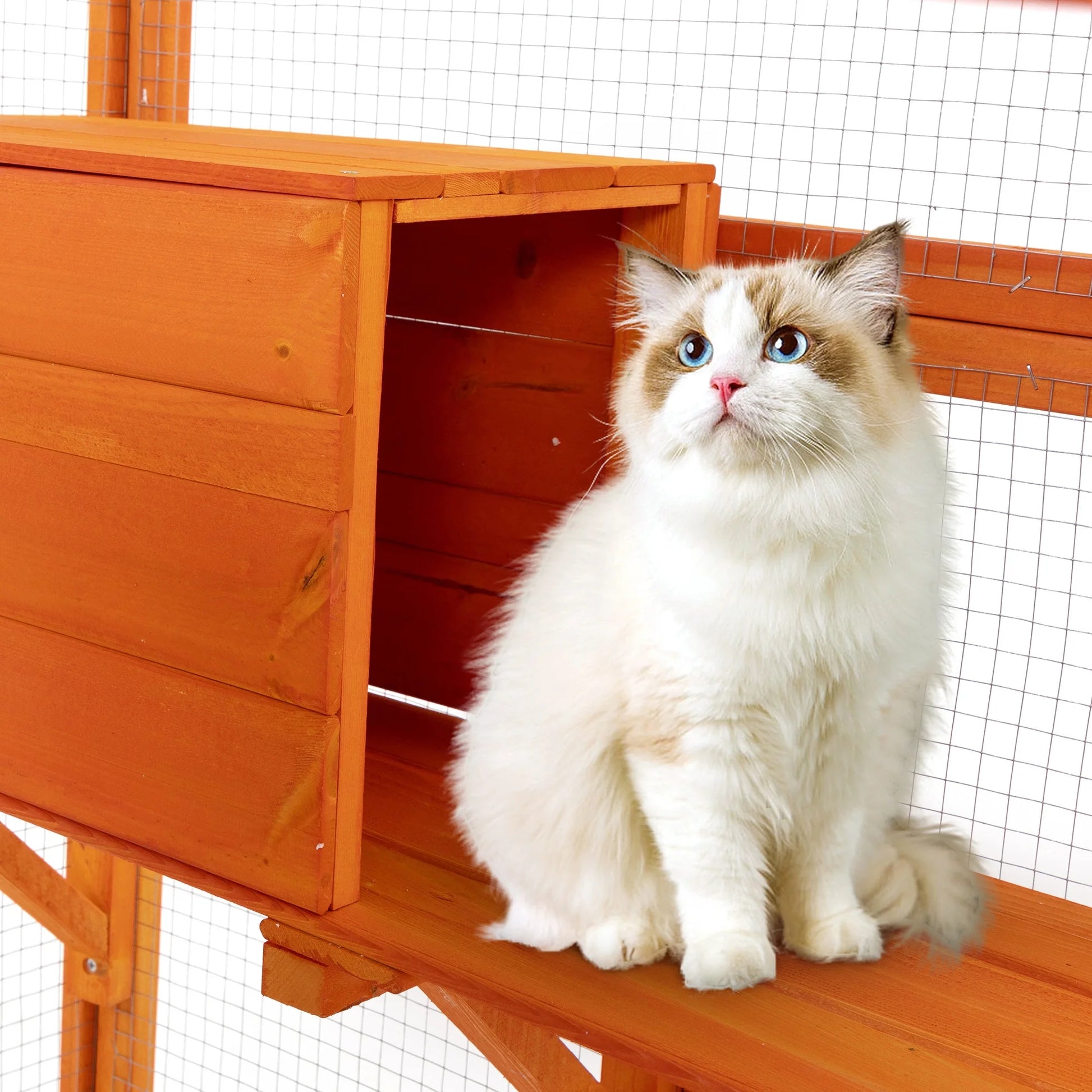 Large Wooden Cat Enclosure Catio Cat Cage Outdoor Pet House Small Animal Hutch, Orange