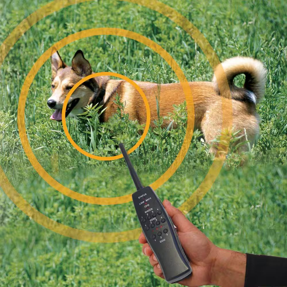 Express Train Remote Radio Dog Trainer