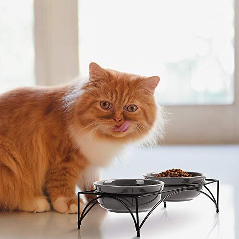Elevated Pet Feeder with Dual Bowls for Dogs and Cats - Raised Stand for Food and Water
