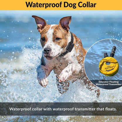 ET-300 Mini  E-Collar Humane Dog Training Collar with Remote & Night Light–100 Levels Gentle Tapping Stimulation, Waterproof & Rechargeable–1/2 Mile Range–For 1 Small to Medium Dog–Yellow