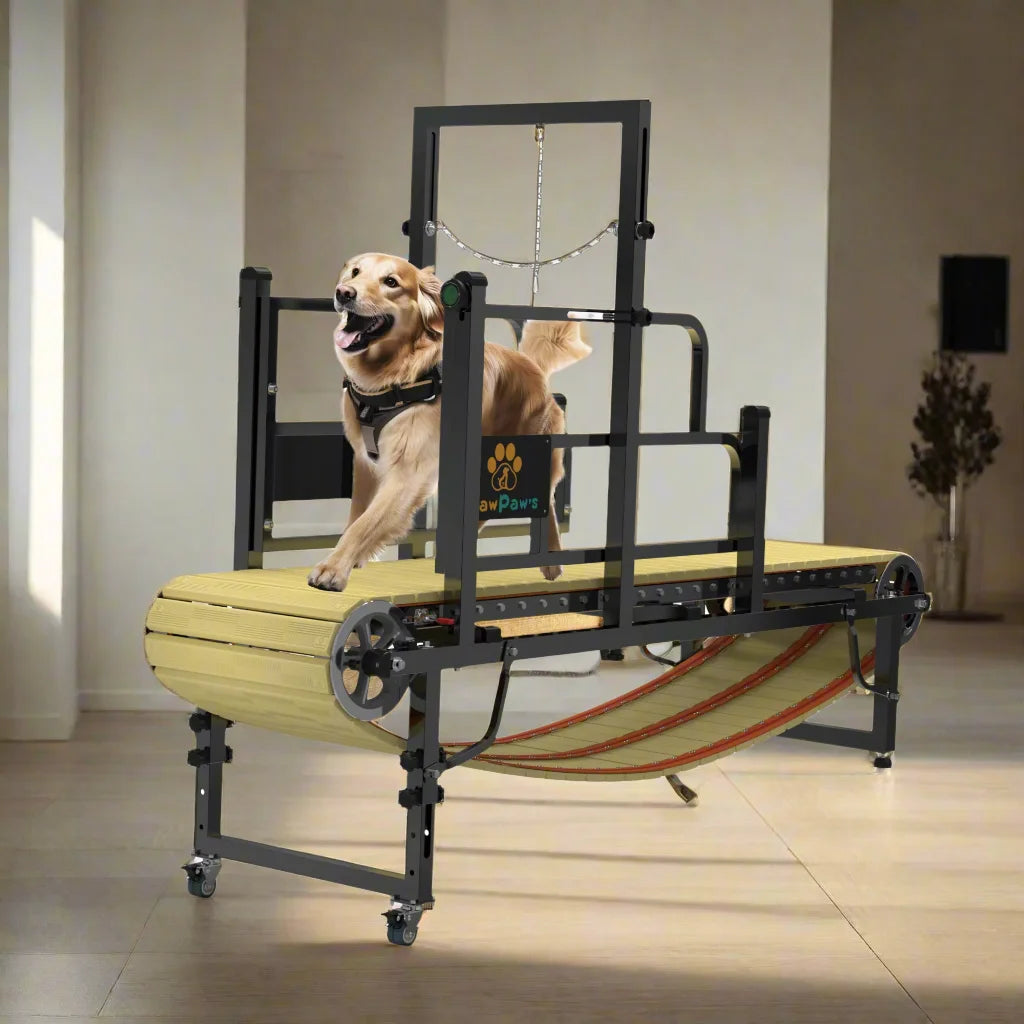 Professional Dog Treadmill for Large and Medium Breeds, Ideal for Indoor and Outdoor Use, Supports Dogs Up to 220 lbs for a Healthy and Active Lifestyle
