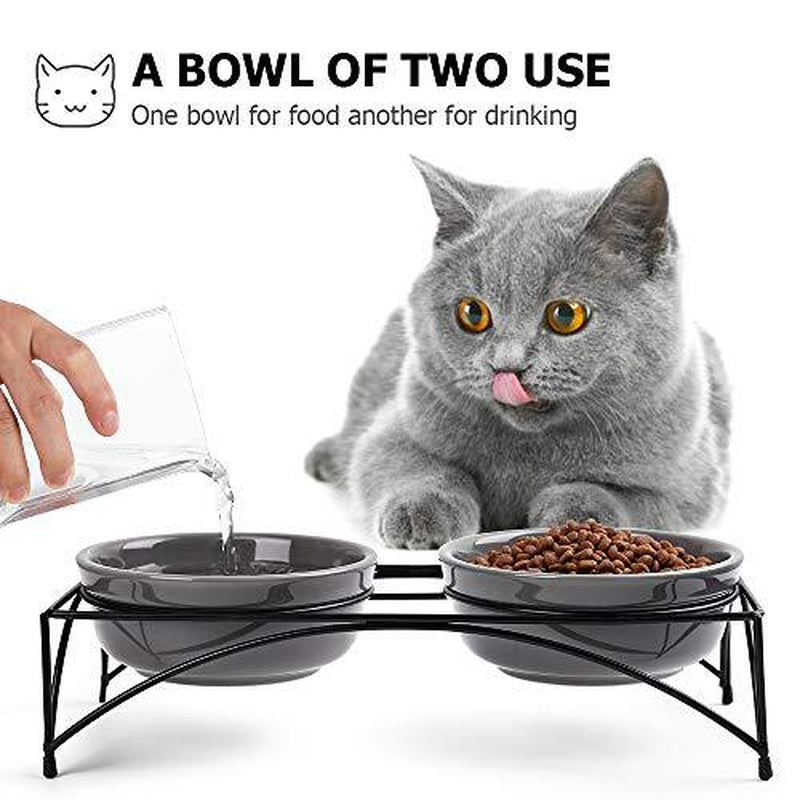 Elevated Pet Feeder with Dual Bowls for Dogs and Cats - Raised Stand for Food and Water