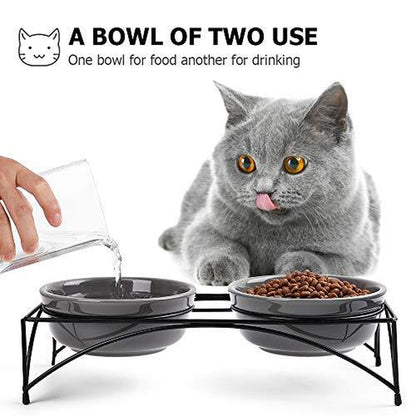 Elevated Pet Feeder with Dual Bowls for Dogs and Cats - Raised Stand for Food and Water