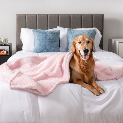 Dog Blanket for Pet Small Medium Large Dog Puppy Cat Soft Fleece Fluffy Sherpa