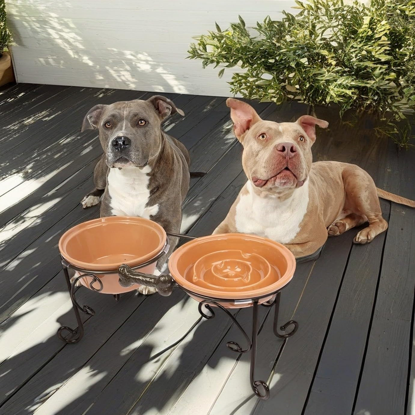 Elevated Dog Bowl Stand with 3 Large Ceramic Bowls – Raised Feeding Station for Medium & Large Dogs, Includes 2 Standard Bowls + 1 Slow Feeder, Durable Iron Frame, Non-Slip (Almond)