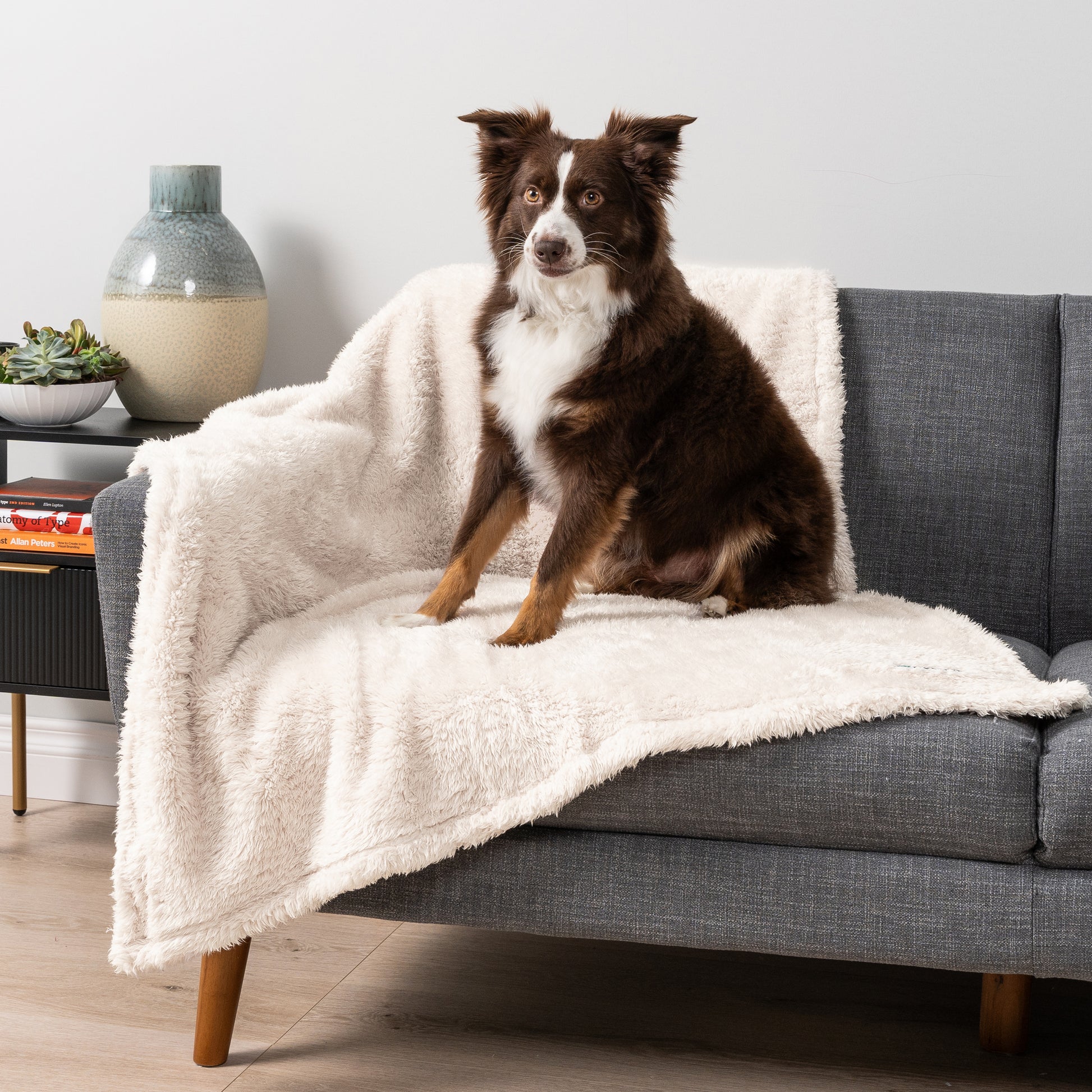 Dog Blanket for Pet Small Medium Large Dog Puppy Cat Soft Fleece Fluffy Sherpa