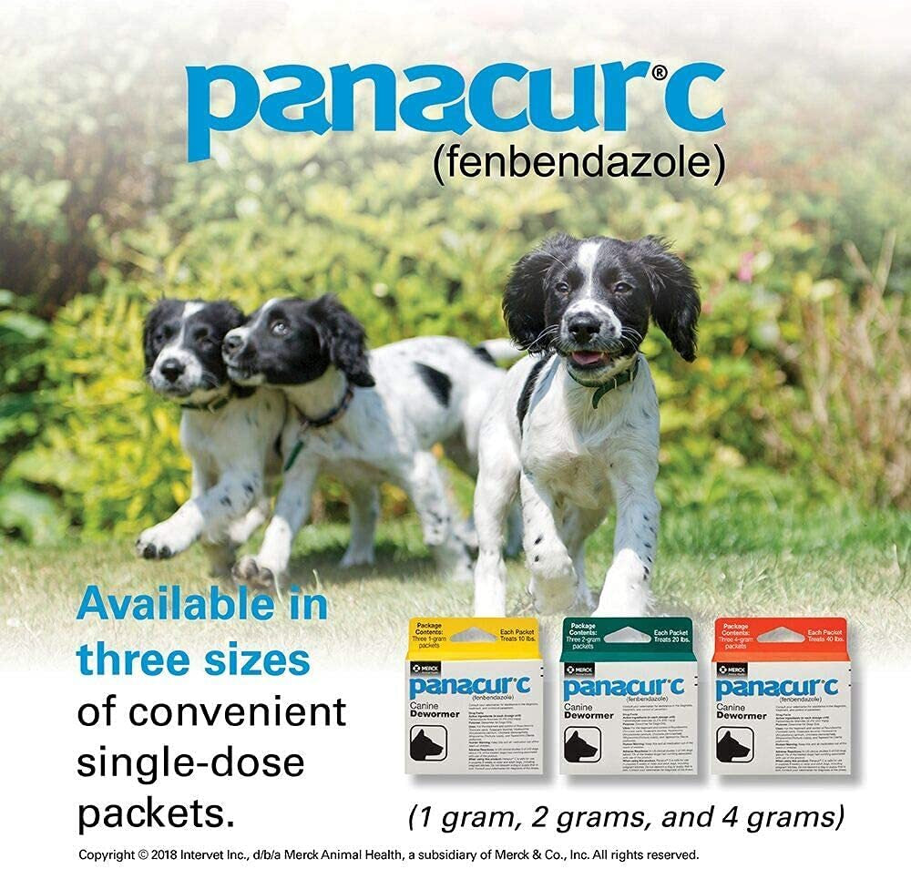 Panacur C Canine Dewormer - 3 Pack for Roundworms, Hookworms, and Whipworms
