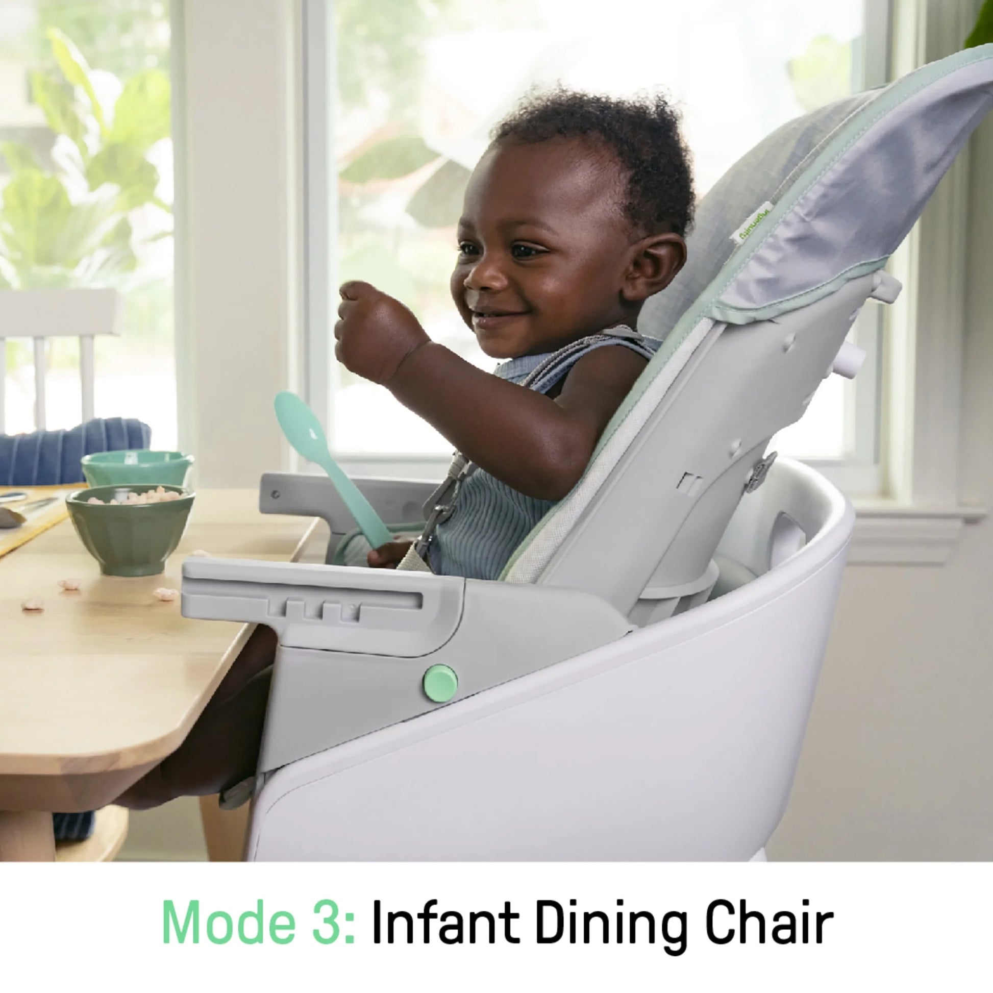 Beanstalk 6-in-1 Convertible High Chair and Booster Seat for Infants to Age 5 - Ray