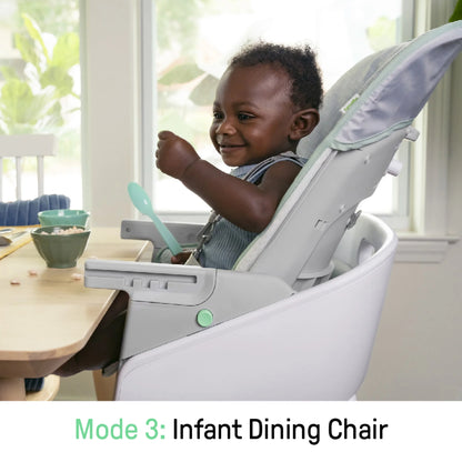 Beanstalk 6-in-1 Convertible High Chair and Booster Seat for Infants to Age 5 - Ray