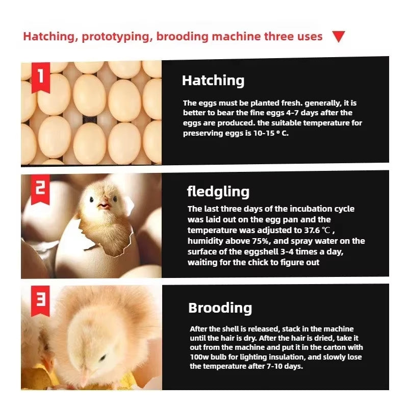 Automatic Egg Incubator 204 Eggs PVC Dual Electric Hatching Machine Automatic Temperature & Humidity Display & Egg Turning