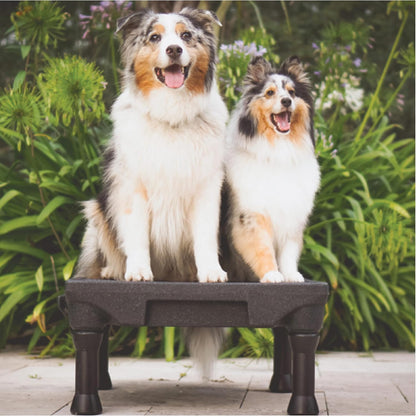 Pet Products KLIMB Dog Training Platform and Agility System, Durable and Portable for Indoor or Outdoor Use, Made in the USA, Black